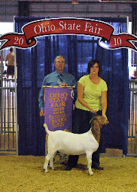 Star Power Reserve Grand Champ Fullblood Doe 2010 Ohio State Fair