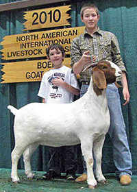 Tiger Lily 2010 Fullblood Doe Class Winner Marion Co. Boer Goat Classic & CCGC Crossroads