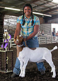 Grand Champ Wether 2010 Fayette Co. Fair Alexa Woods