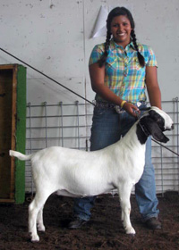 Ebony's Shadow Reserve Champ Percentage Doe 2010 Fayette Co.Fair Alexa Woods