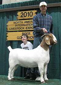 Frinch Lillie 1st in Class 2010 Ohio State Fair