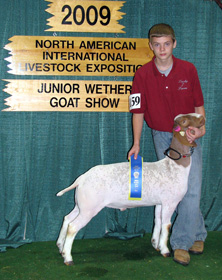 Wether Class Winner 2009 NAILE Louisville, KY CJ Steinke