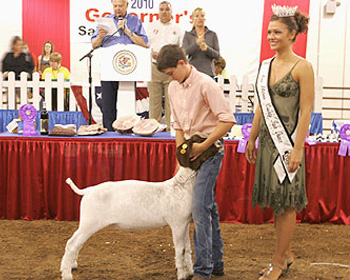Grand Champ Meat Goat Wether 2010 Illinois State Fair