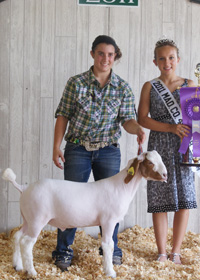 Grand Champ Wether 2011 Madison Co. IN