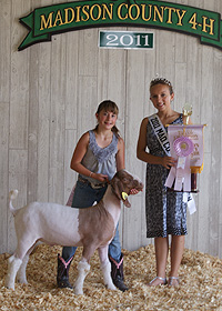 Reserve Champ Wether 2011 Madison Co. IN