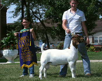 Grand Champ Buck & Wethershire 2011 Ohio State